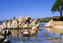 克罗斯算巨星吗